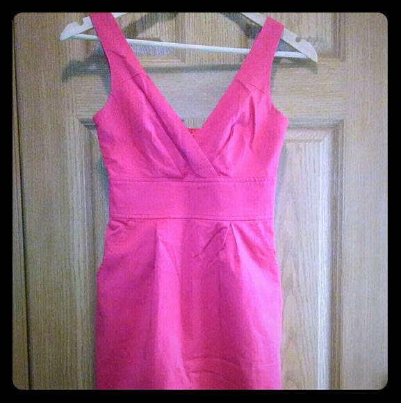 Express Design Studio Dresses & Skirts - Express Design Studio Lined V-Neck Dress EUC!